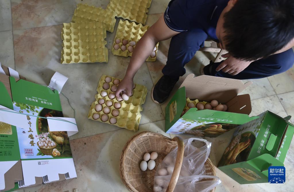 柳岩捕鱼大作战官网